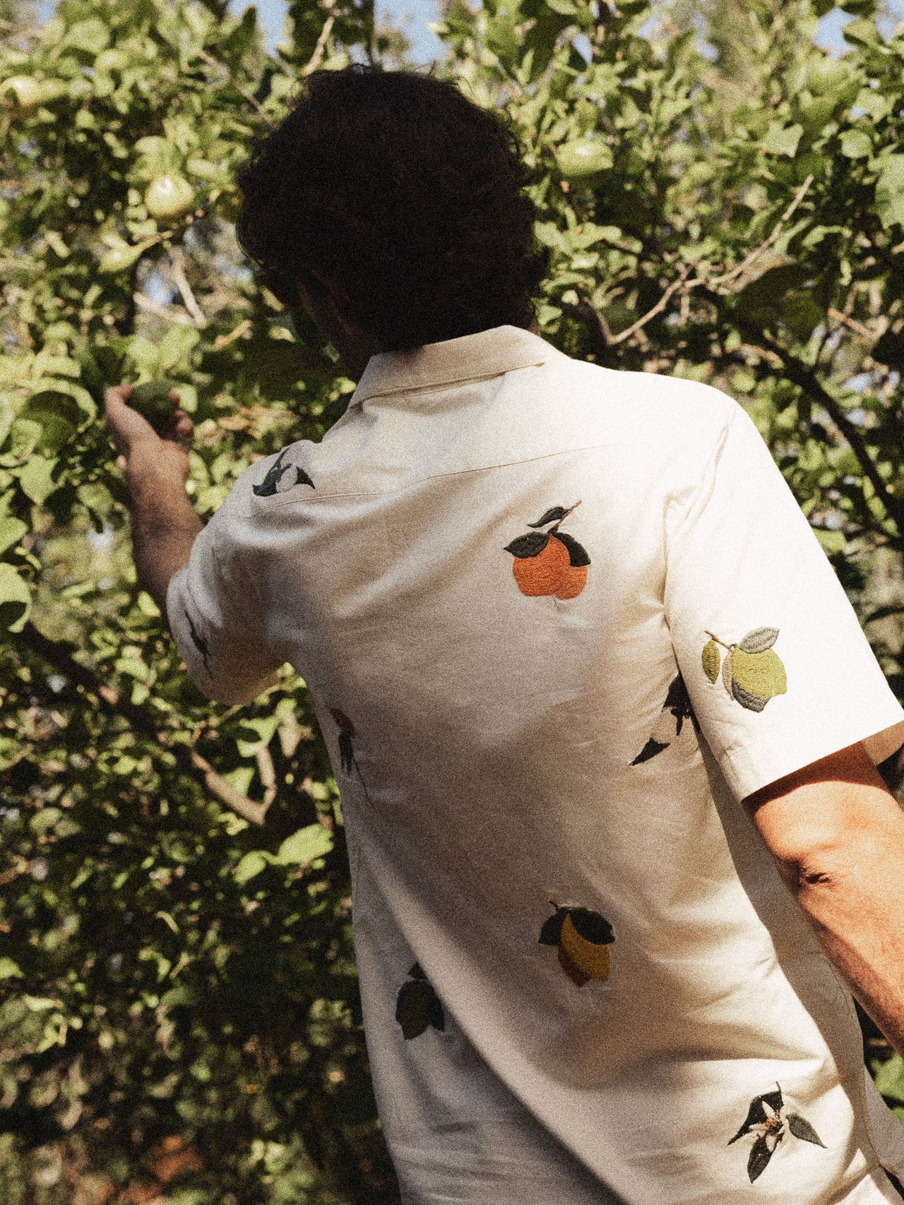 MMGBABEL AGRUMI EMBROIDERY SS