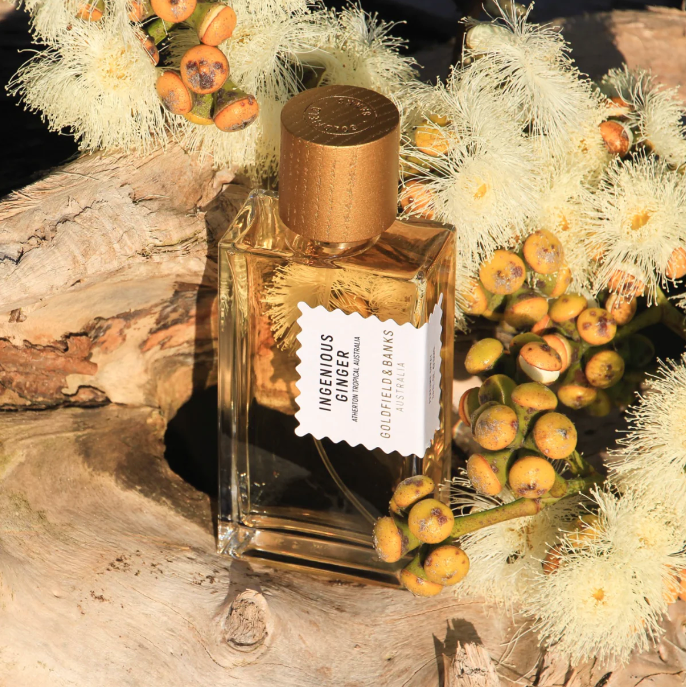 INGENIOUS GINGER PARFUME 100 ml