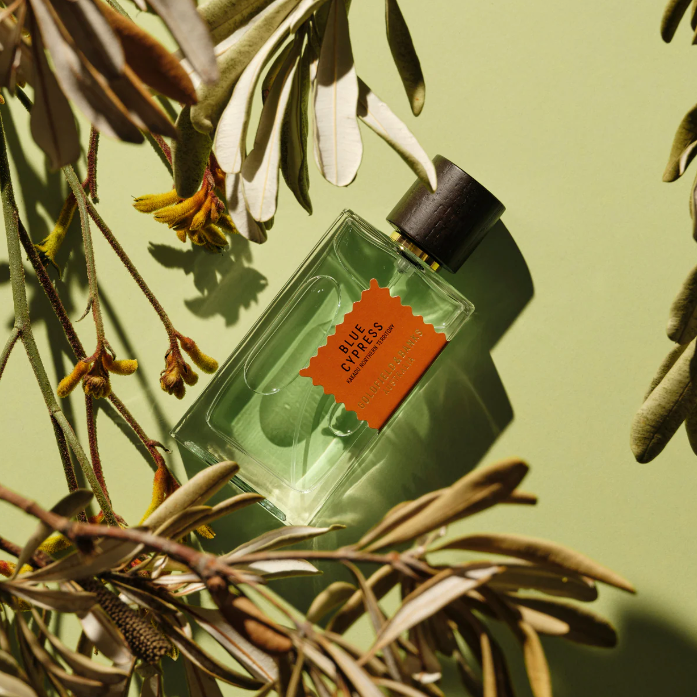 BLUE CYPRESS PARFUME 100 ml