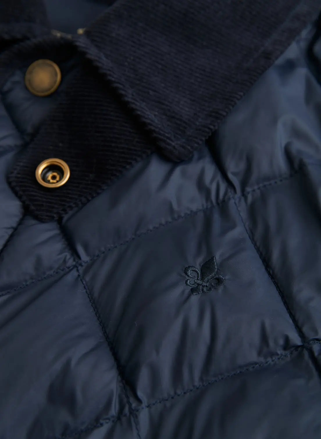 WINSTON JACKET