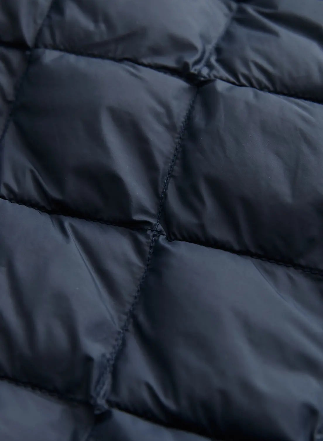 WINSTON JACKET