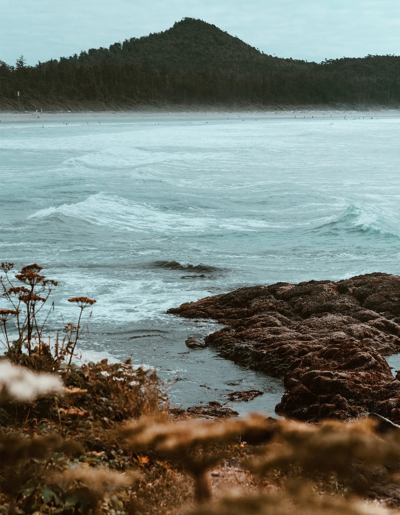 CASHMERE WOODS PARFUME