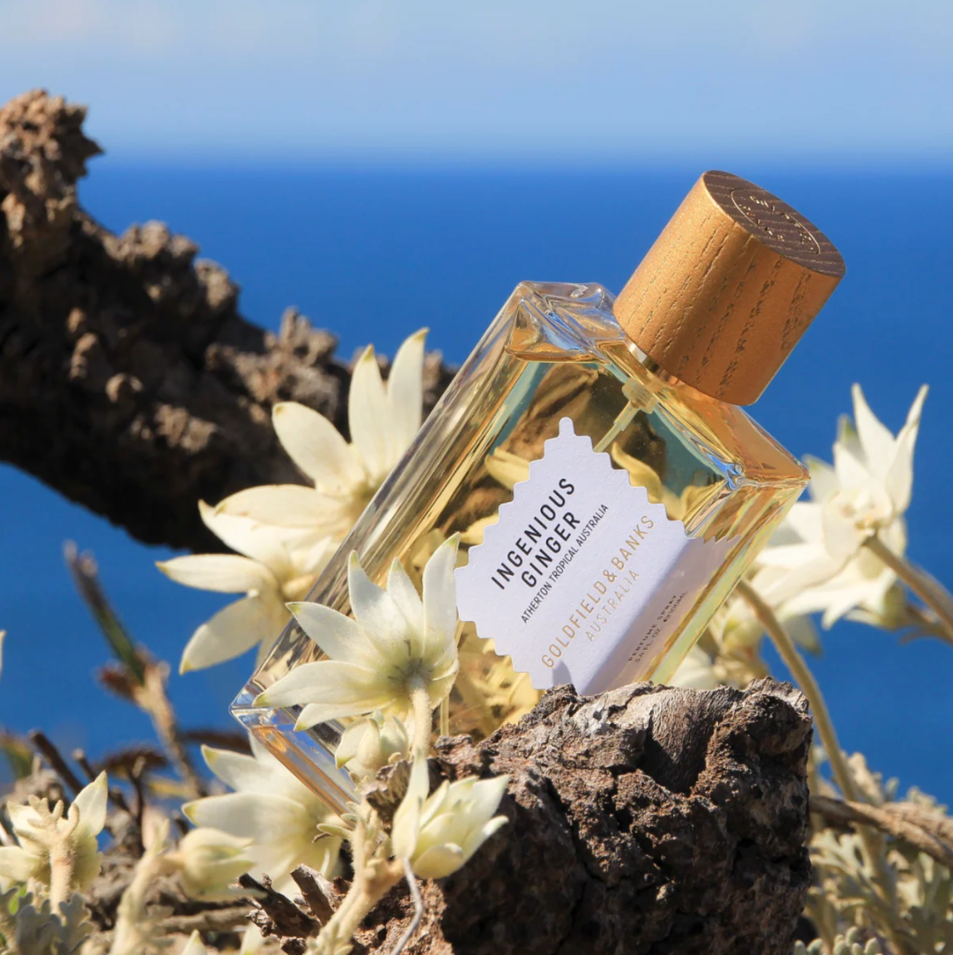 INGENIOUS GINGER PARFUME 100 ml